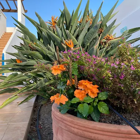 Our Soleada Cosy&flowery, Heated Pool Villa *