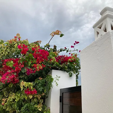 Our Soleada Cosy&flowery, Heated Pool * Playa Blanca (Lanzarote)