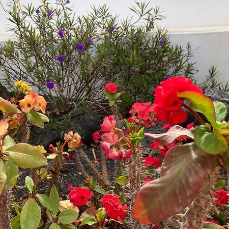 Our Soleada Cosy&flowery, Heated Pool Villa *